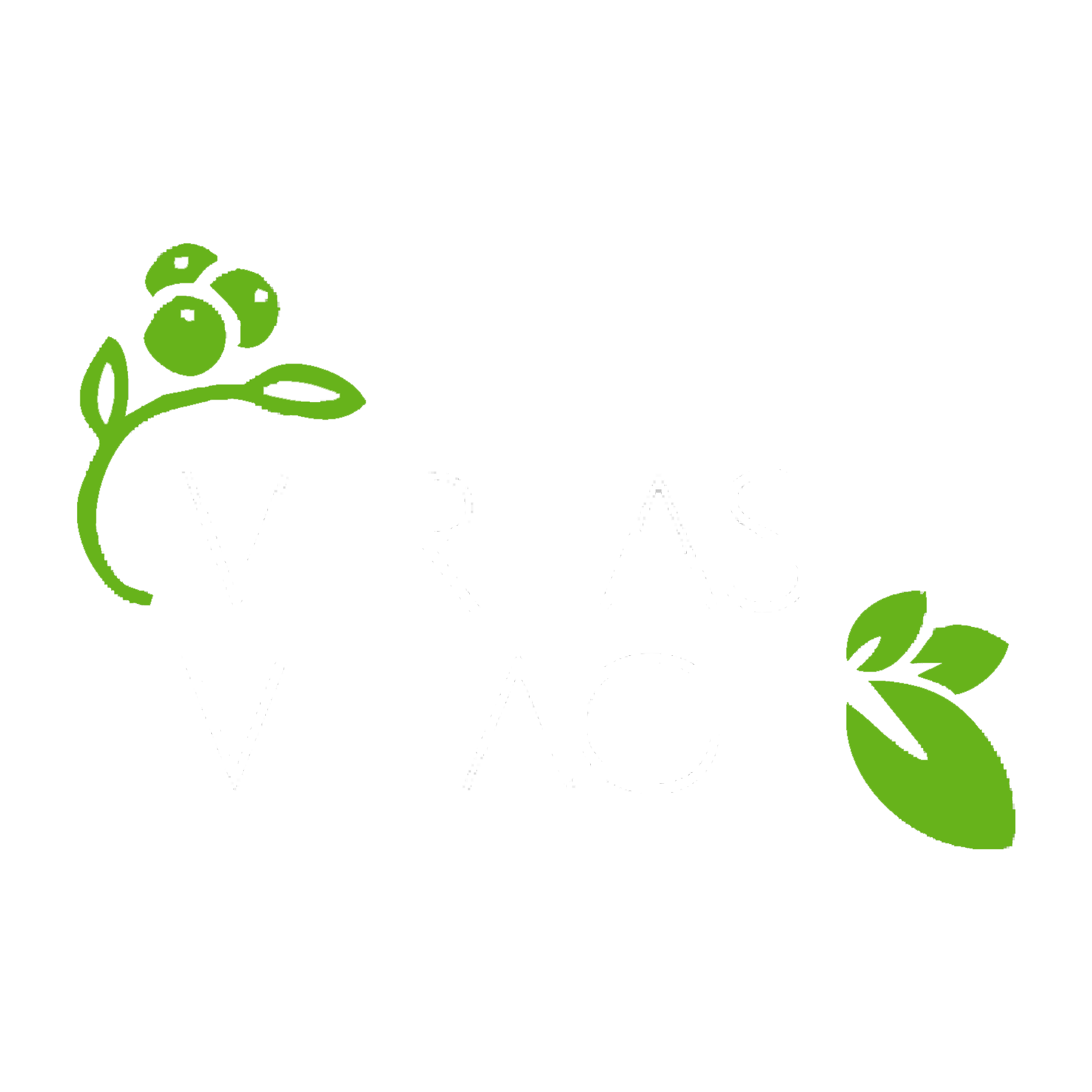 questions-and-answers-veritas-panama